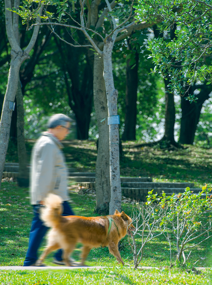 大安森林公園