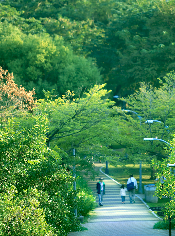 大安森林公園