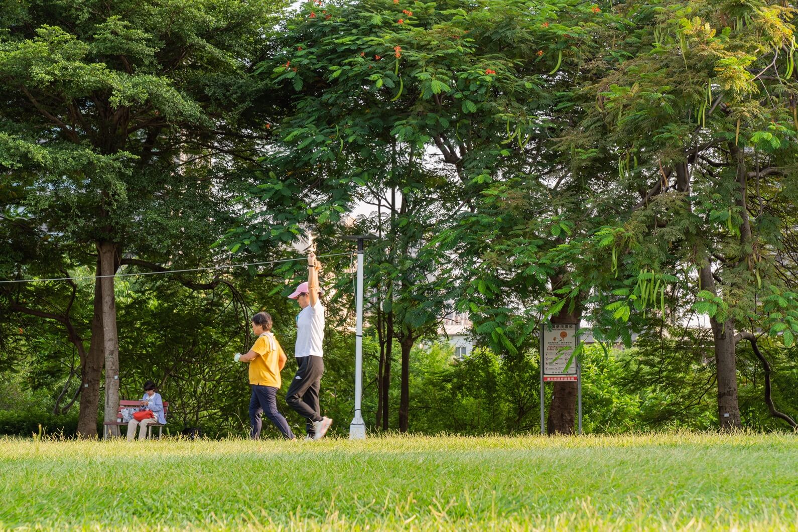 文化森林公園示意圖