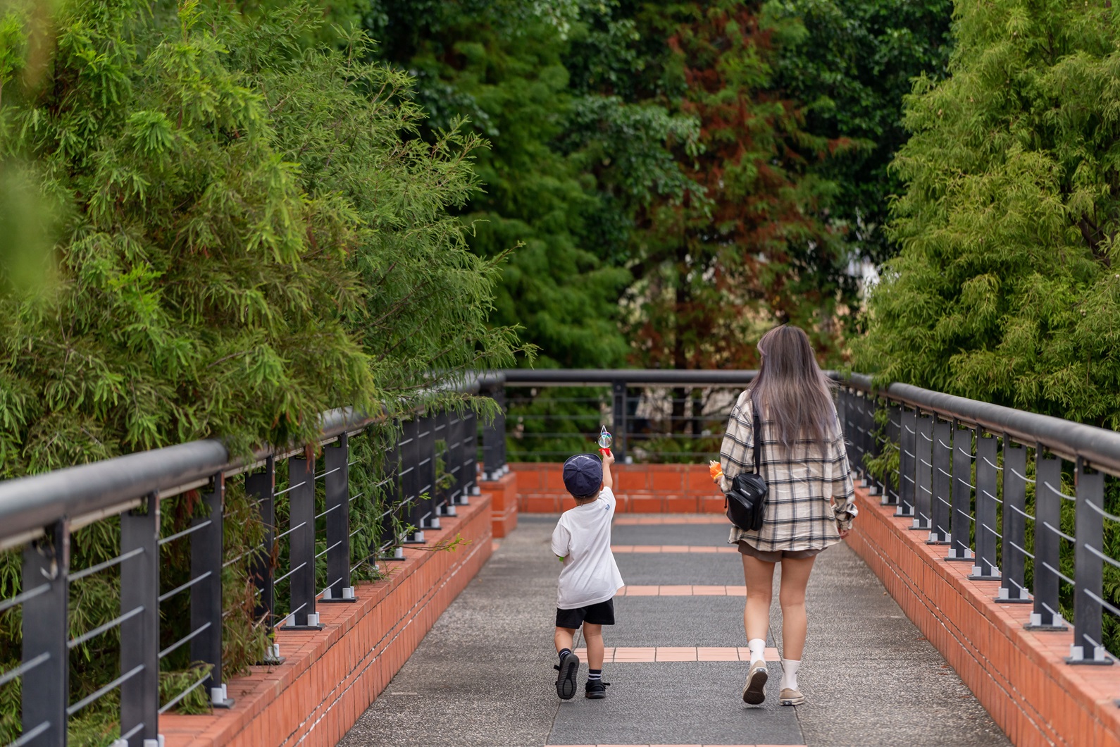 新市鎮生態公園示意圖