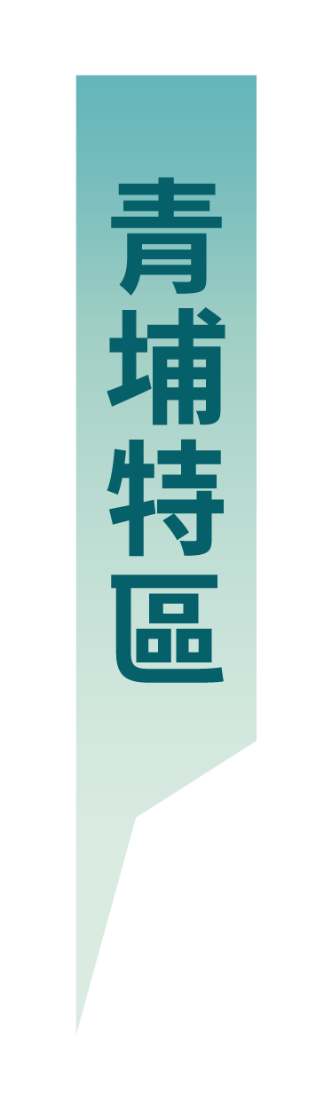 青埔特區