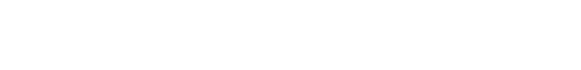 SHIN  RUENN  PROMISE